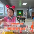 매지밀 딸기농장 | 아이랑 원주여행_겨울방학에 하기 좋은 딸기 따기 체험 딸기 퐁듀 만들기 매지밀 딸기농장