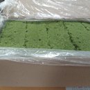 보한당한의원 이미지