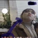 짠투 Daum카페