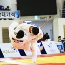 보령종합체육관 이미지