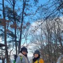 한밭수목원1 이미지