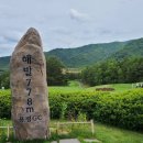 용평리조트골프클럽(회원제) | 용평CC &amp; 버치힐CC 5월 1박2일 골프 패키지 요금 완벽 정리