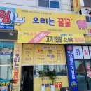 오리는꿀꿀