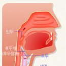 봄철 급증하는 후두염 예방법 이미지