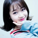 예쁘댕 이미지