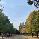 다시내보 이미지