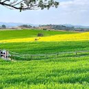 관식농장 이미지