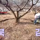 신성목장 이미지