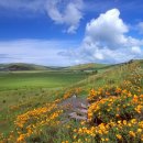 길동무도장 이미지