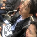 북원교통 노동조합 | 2026 진해군항제 셔틀버스 시티투어 총정리 정보 직접 타본 후기