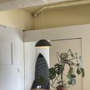 썬하우스 이미지