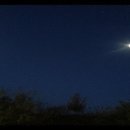 [타로로 보는 별자리 운세-세이렌의 정원] 2016년 2월 22일~29일 주간 별자리 운세 이미지