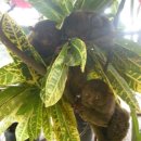 안경마을(구영) 이미지