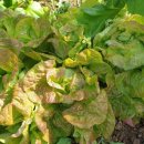 이덕주농장 이미지