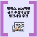 태영 태양광발전소 이미지