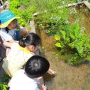 채원 태양광발전소 이미지