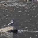 호반으로 여행 이미지