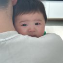 (주)드피노 | 2개월 | 79-91일차 (당근거래, 결혼기념일, 단유, 낮잠퇴행, 수면교육 고민, 2개월 끝)