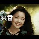 비원./.야래향./.가버린 추억./.대상의행렬 Silk Road 이미지