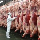 닭오리공판장 이미지