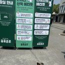 봄강아지 이미지