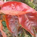 고을농장 이미지