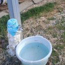 매밑농장 이미지