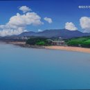 해피트리 고사포점 이미지