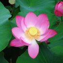 인삼랜드휴게소 이미지