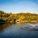 분당-145 이미지