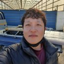 고고씽PC 이미지