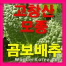 프롭테라피&밴드운동 이미지