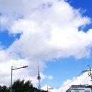 오서독스orthodox