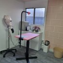 후니네멍멍이 이미지