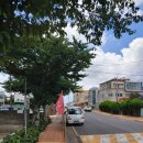 심상경로당 이미지