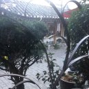 남도제철음식점 이미지