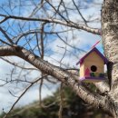 김해목재문화박물관 이미지