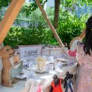 용인시기흥노인복지관 장수하개 이미지