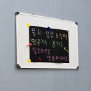 대연포항물회