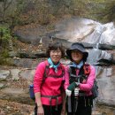 비안네 산친구들 천태산 원정산행(2011.10.29 ) 이미지