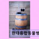현대종합동물병원 - 원주시 신지정로 153-15 | 현대종합동물병원
