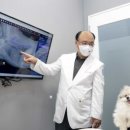 엑스테크메디컬 이미지