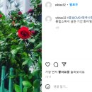 세무법인뉴조이 - 영등포구 양평로 157 | 세무법인뉴조이