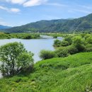 고달리다리 이미지