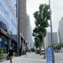 거평한의원 | 특색있는 강남 사주, 마음약방 459 다녀왔어요~~