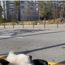 365동물병원위례점 네이버블로그