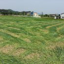 들녘한우 이미지