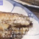 이름그대로 최고네요! 군산최고횟집 군산횟집추천 군산회맛집 군산잘나오는횟집 군산맛있는횟집 군산횟집 최고횟집 이미지