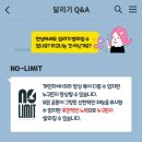 스피드 질 카카오 검색결과