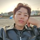 더타이피 이미지